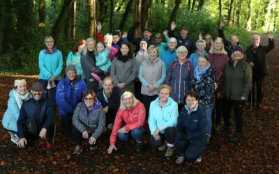 Laois Connects: Woodland Wellness Walk & Wholesome Breakfast